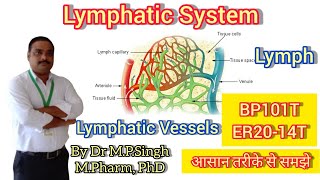 Lymphatic System  Lymph amp Lymphatic Vessels  Human Anatomy amp PhysiologyI  BP101T amp ER2014T [upl. by Poock]