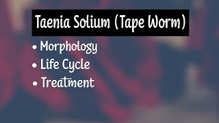 Taenia Solium Morphology Life Cycle Treatment [upl. by Hogg]