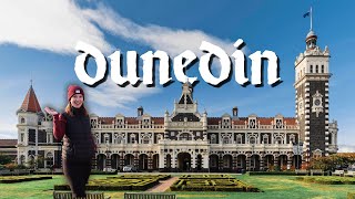 Dunedin Travel Guide a New Zealand hidden gem [upl. by Liakim]