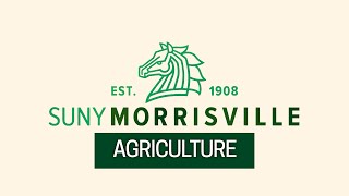 SUNY Morrisville Areas of Study  Agriculture [upl. by Hux316]