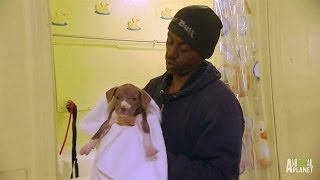 Meet Will the Puppy Man  Pit Bulls and Parolees [upl. by Herzog]