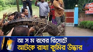 গাজীপুরের রিসোর্ট থেকে অবৈধভাবে আটকে রাখা কুমির উদ্ধার  Maasranga News [upl. by Notwen]