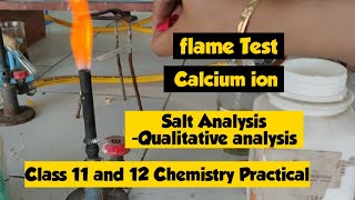 Flame Test Of Calcium ion Platinum loop test Salt Analysis [upl. by Blaine520]