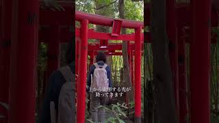 お稲荷さんって凄い神様！と改めて感じる《白笹稲荷神社》 [upl. by Eivets]