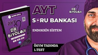 AYT Biyoloji Soru Bankası  Endokrin Sistem ÖSYM Tadında 1 Test  DrBiyoloji  2025tayfa [upl. by Anidem204]