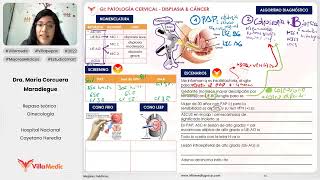 PATOLOGÍA CERVICAL DISPLASIA Y CÁNCER PARTE 2  GINECOLOGÍA  VILLAMEDIC [upl. by Gaal820]