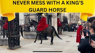 NEVER MESS WITH THE KING’S GUARD HORSE [upl. by Lupee]