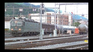 SBB Re 66 quot11663 Eglisauquot mit WLV Zug in Thun 290811 [upl. by Sunday]