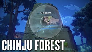 Destroy barrier at Chinju Forest quick guide  Genshin Impact [upl. by Assirehs]