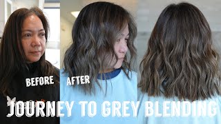 Hair Transformations with Lauryn Realistic First Session on the Journey to Grey Blending Ep 153 [upl. by Yanffit]