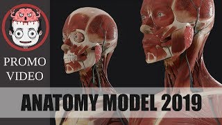 Anatomy 2019 promo [upl. by Ainehta]