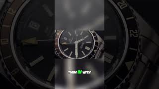 Affordable Luxury The Best Microbrand GMT Watches Revealed [upl. by Ahsekyt]