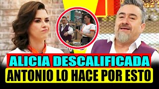 ALICIA MACHADO DESCALIFICADA POR CHEF ANTONIO 😮 AVANCE DEL MIERCOLES  TOP CHEF VIP 2024 EN VIVO [upl. by Hatch]