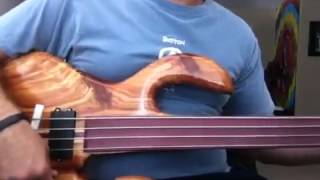 Wishbass 1332 Demo and Review [upl. by Cirle]