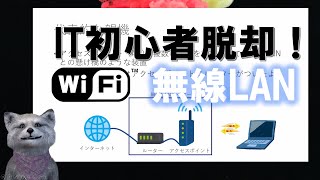 《IT初心者脱却講座 初級10》無線LAN（WiFiとはなに？注意点は？ [upl. by Hodgson]