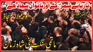 Noha Shahadat Imam Sajjad ع  Matami Sangat Sakhi Shah Zaman  Taziyane Shimr Ke Or Natwan Sajjad Ha [upl. by Tega]