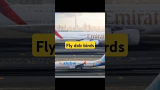 Making Dubai Proud with flyemirates and flydubai ✈️ Travel Dubai [upl. by Saberio435]