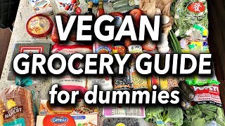 BUDGET FRIENDLY VEGAN GROCERY GUIDE FOR BEGINNERS  Vegan Grocery Haul [upl. by Lana]