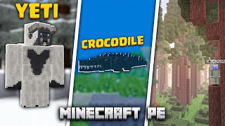 Best Survival Addon For Minecraft PE  Expansive Biome MCPE [upl. by Adolphe]