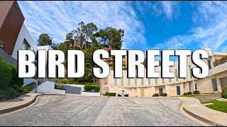 Bird Streets  Los Angeles [upl. by Koppel822]