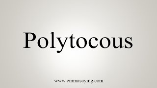 How To Say Polytocous [upl. by Ayoted]