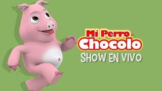 MI PERRO CHOCOLO  CANCIONES INFANTILES  PNCHO EL CHANCHO EN VIVO [upl. by Ellerahc]