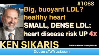 KEN SIKARIS b  Big buoyant LDL healthy heart SMALL DENSE LDL heart disease risk UP 4x [upl. by Ellemaj374]