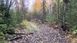 Exploring a trail in Eielson AFB Alaska during September 2024 2 year channel anniversary special [upl. by Leopoldeen983]