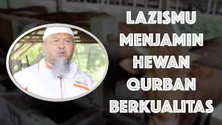 Jangan Ragukan Kualitas Hewan Qurban Milik Lazismu [upl. by Nitsirk]