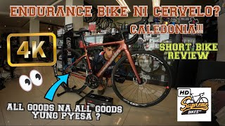 CERVELO CALEDONIA BIKE SHORT REVIEW cervelo [upl. by Ronoh664]