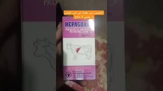 Liver tonichepatic failureindigestion constipationtympany treatment vet veterinary cow [upl. by Harle]