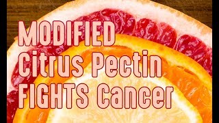 Modified Citrus Pectin fights Cancer Metastases [upl. by Annayehc]