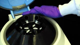 How to Use a Centrifuge [upl. by Havot]