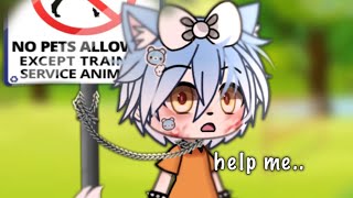 Gacha life meme No animals allowed 🐶🐱 trend [upl. by Acimad]