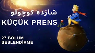 Kitap çalışması  27Bölüm  Küçük prensشازده کوچولوSeslendirme [upl. by Girovard]