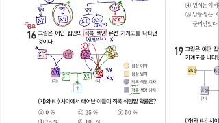 중36단원역학적 에너지 1 역학적 에너지 전환과 보존 [upl. by Nager]