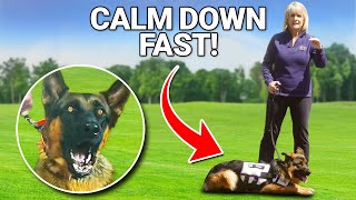 My SECRET Method to Calm Aggressive Dogs FAST [upl. by Wilhelm]