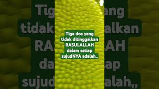 Doa RASULALLAH rasulallahﷺ rasulullah rasul doarasulullah quotes shortfeed youtubeshorts [upl. by Yltnerb565]