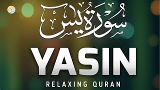 Surah Yaseen by Hafiz Zain TV [upl. by Toft]