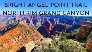 BRIGHT ANGEL POINT TRAIL NORTH RIM GRAND CANYON [upl. by Akimrehs]