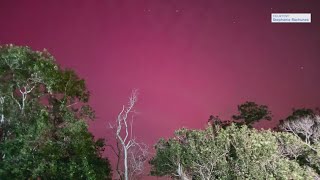 Photos of Northern Lights near Houston area [upl. by Jacobah]