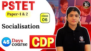 CDP  Lec6 socialisation  PSTET Paper1 amp 2  45 Days Crash Course  Bansal academy [upl. by Janeczka]