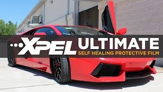 2013 Lamborghini Aventador gets protected with XPEL ULTIMATE Self Healing Paint Protection Film [upl. by Mahtal219]