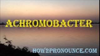 How To Pronounce ACHROMOBACTER [upl. by Couq]