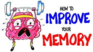 How To Improve Your Memory RIGHT NOW [upl. by Assirac131]