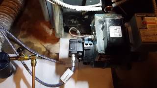 Tigerloop Oil Deaerator Install on Boiler [upl. by Whitver]