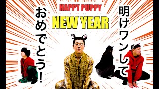 HAPPY PUPPY NEW YEAR 明けワンしておめでとう  PIKOTAROピコ太郎 [upl. by Hnamik]