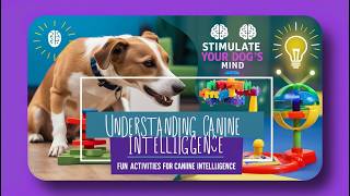 Understanding Canine Intelligence Activities to Stimulate Your Dog’s Mind [upl. by Aynat]