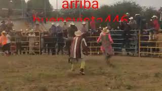 SIGUEN LOS PLEITOS EN JARIPEOS [upl. by Arlyne]