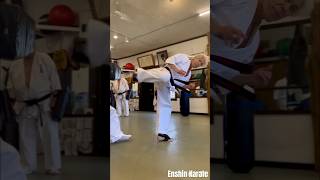 Enshin Karate World HQ  Kancho Joko Ninomiya online training now available [upl. by Otit173]